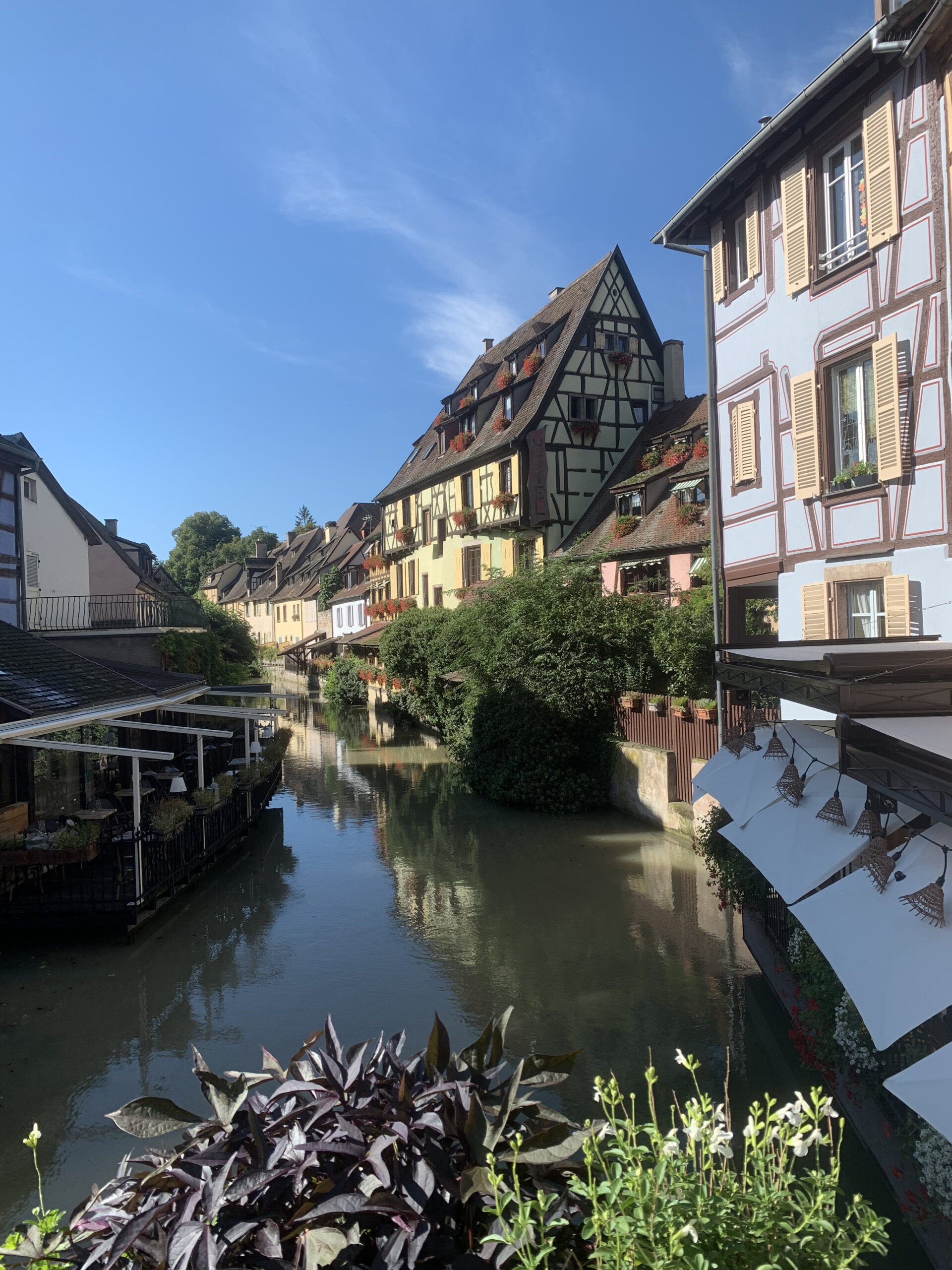 Colmar Pont hotel Maréchal matin IMG_8354