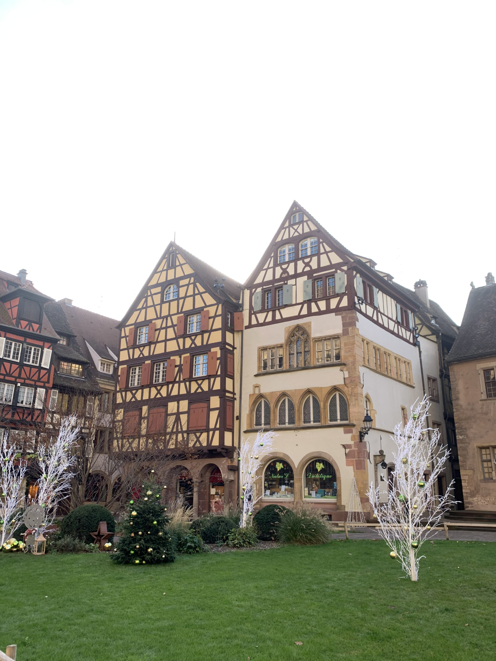 Colmar mais Adolf Noel IMG_9633