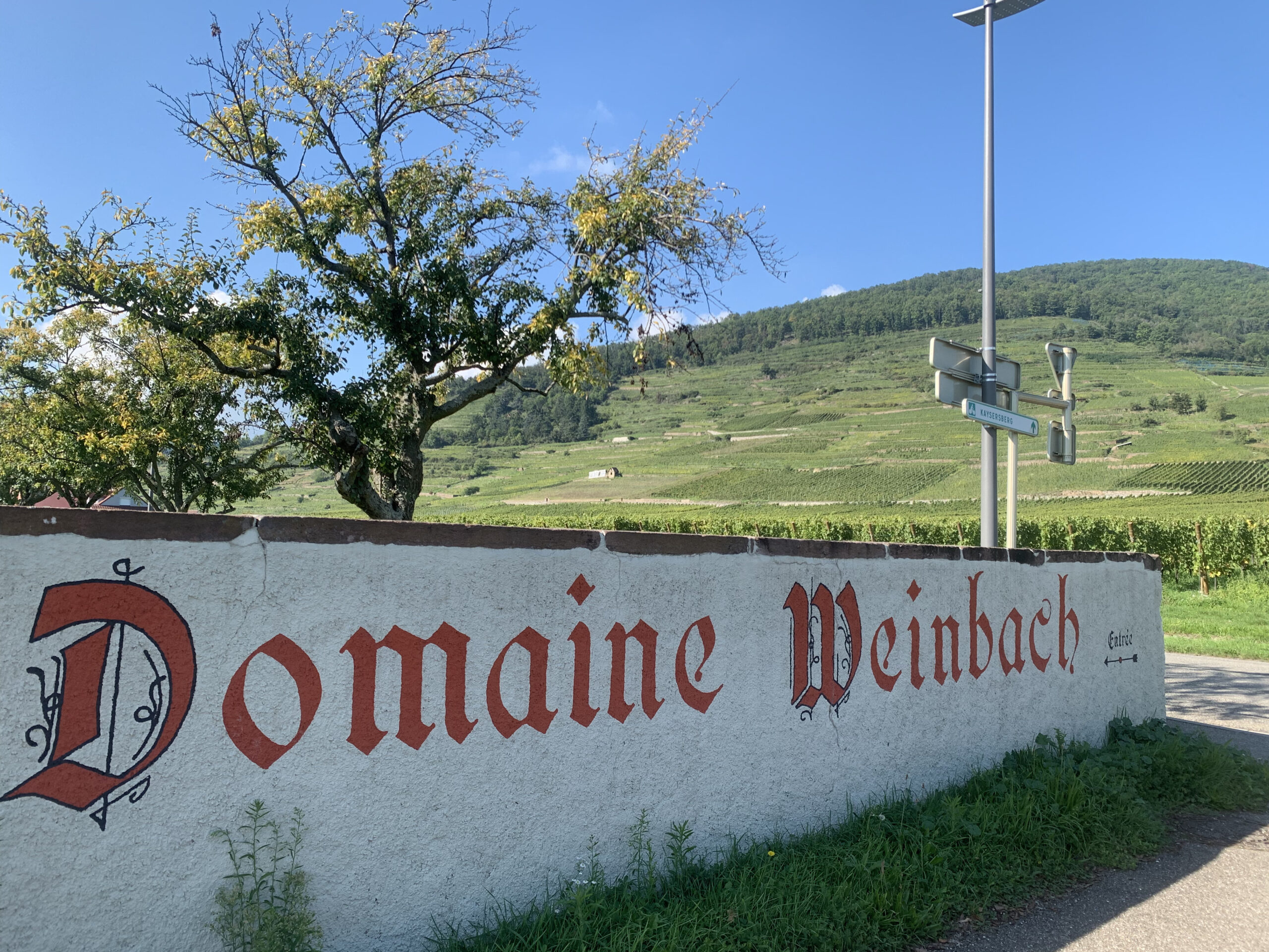 Dom Weinbach PRIV TOUR vide IMG_8784