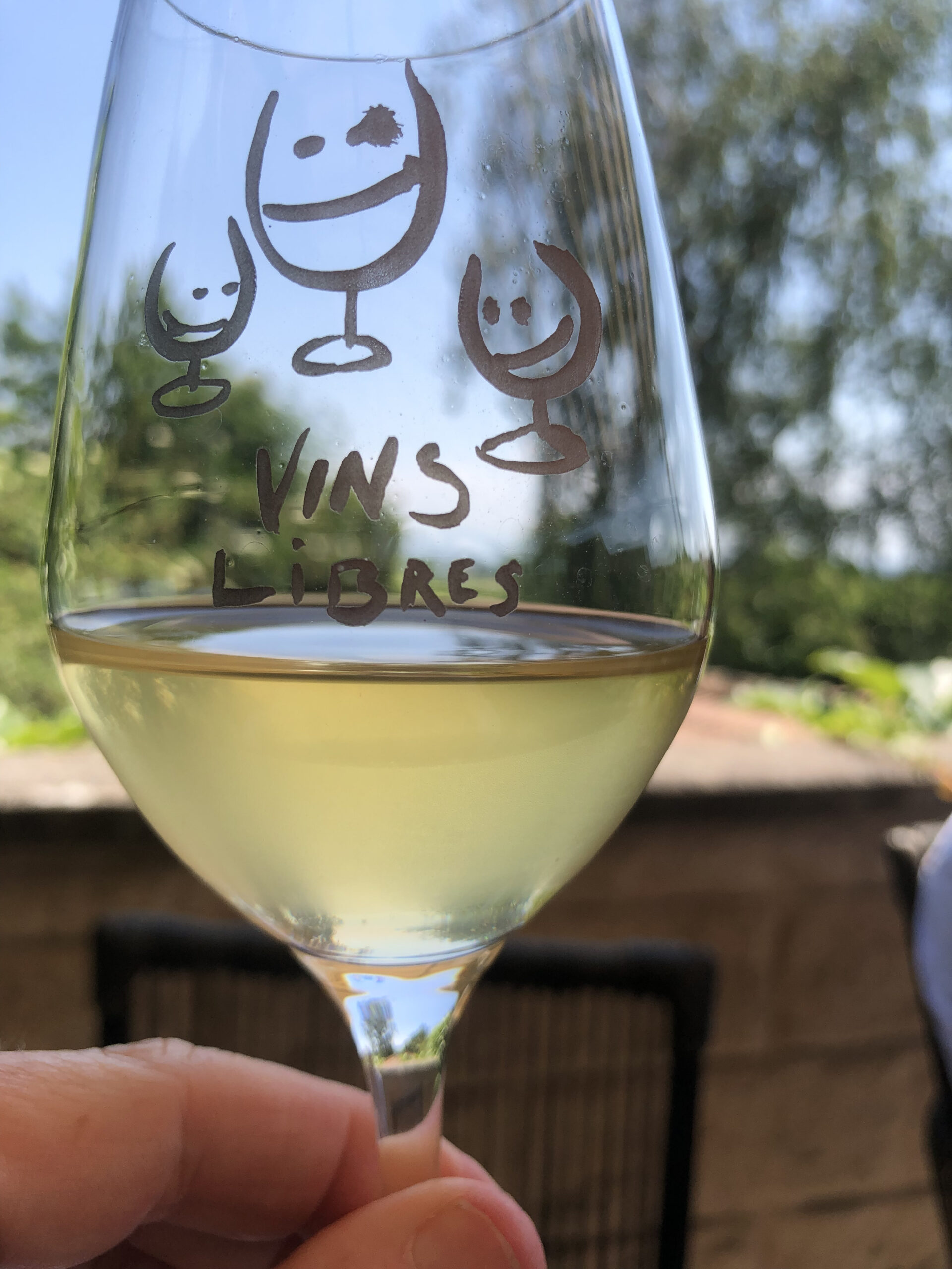 Verre vin libre