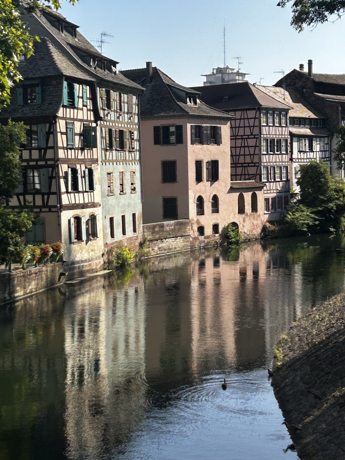 stras petite france